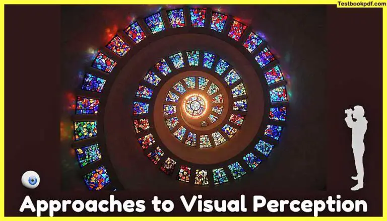 Approaches-to-Visual-Perception