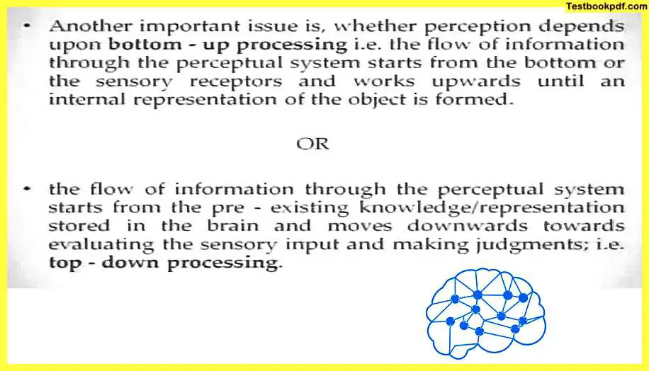 Approaches-to-Visual-Perception