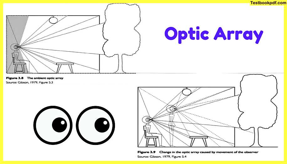 Approaches-to-Visual-Perception