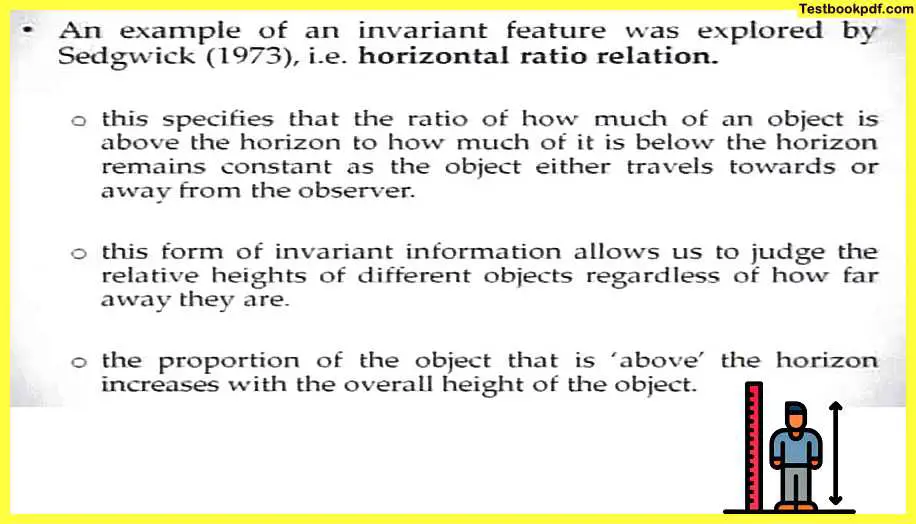 Approaches-to-Visual-Perception