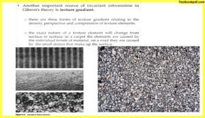 Approaches-to-Visual-Perception-Pdf-J.J-Gibsons-theory