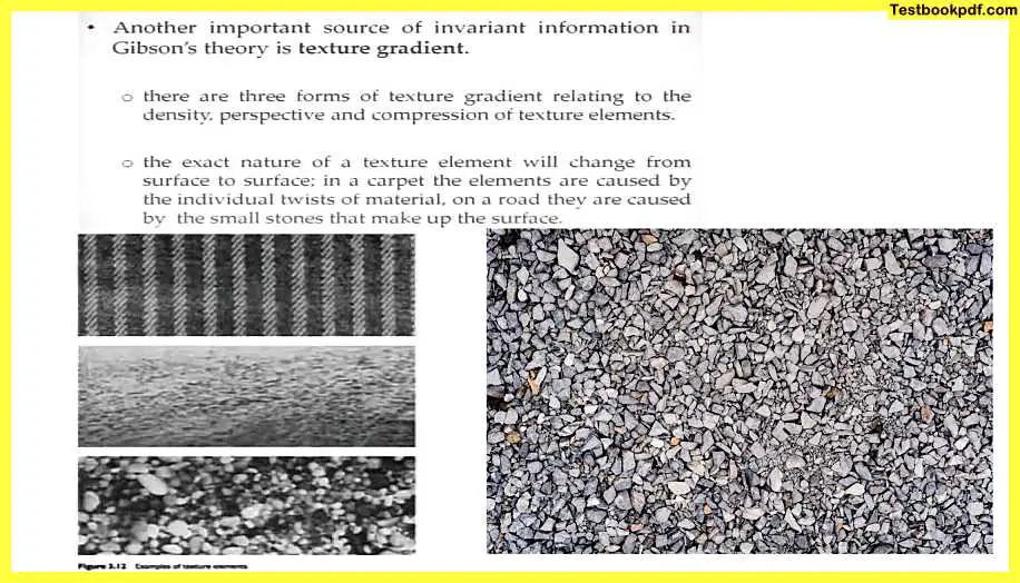 Approaches-to-Visual-Perception-Pdf-J.J-Gibsons-theory