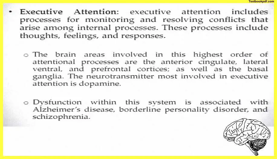 Attention-Psychology-Example