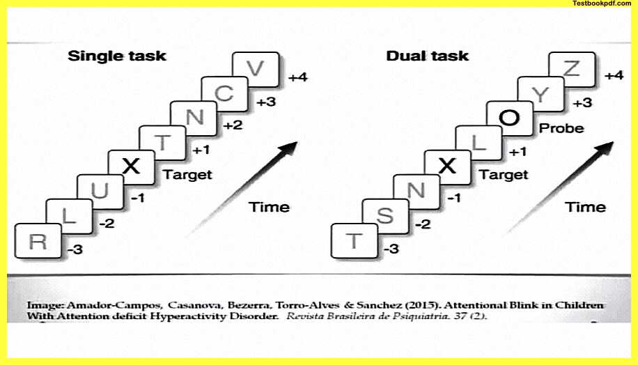 Attention-Psychology-Example