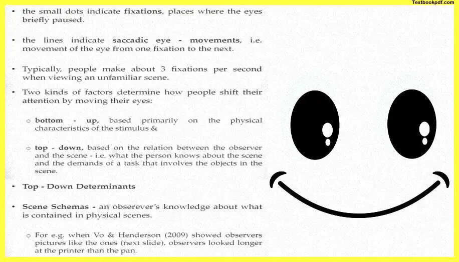 Attention-Psychology-Experiment