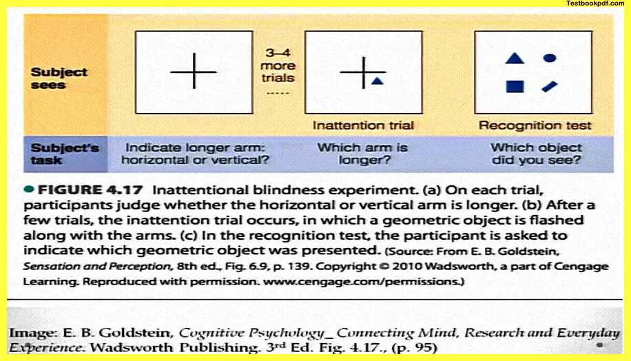 Attention-Psychology-Experiment