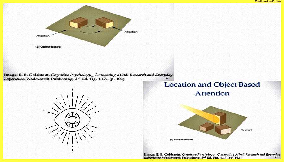 Attention-Psychology-Experiment