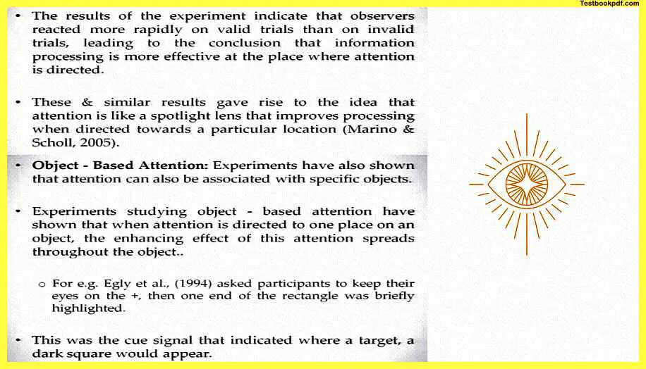 Attention-Psychology-Experiment