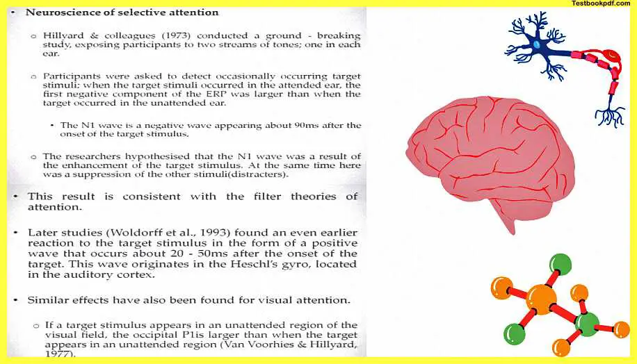 Attention-Psychology-Pdf