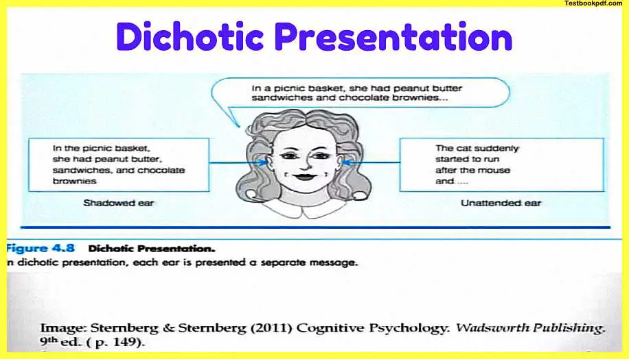 Attention-Psychology-Pdf