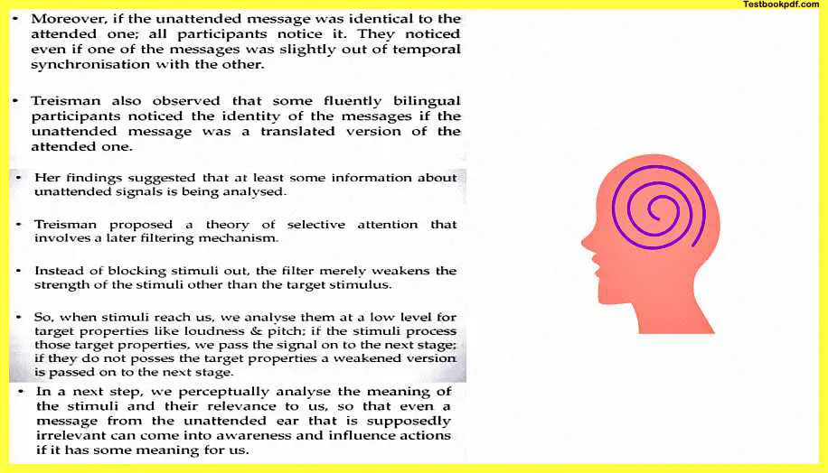 Attention-Psychology-Pdf