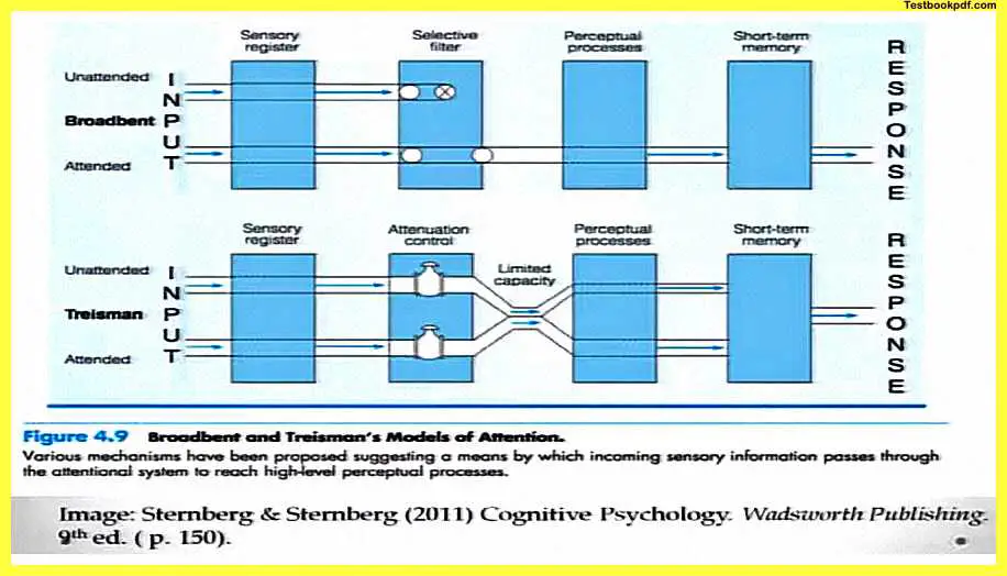 Attention-Psychology-Pdf