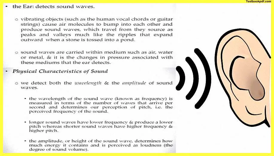 Auditory-Perception-in-Psychology