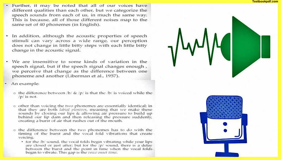 Auditory-Perception-in-Psychology