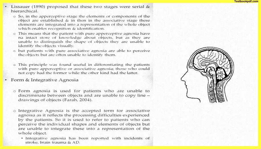 Disorders-of-Perception-and-Attention-Pdf