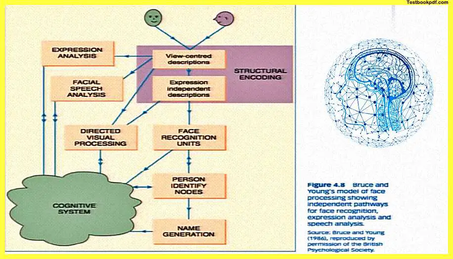 Disorders-of-Perception-and-Attention-Pdf