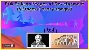 Erik-Erikson-Stages-of-Development-8-Stages-Theory-Images