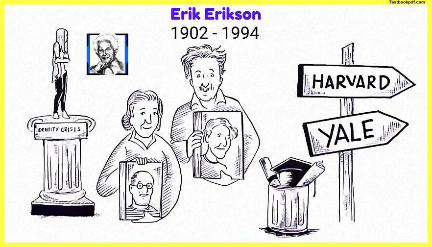 Erik-Erikson-Stages-of-Development-8-Stages-Theory-Images