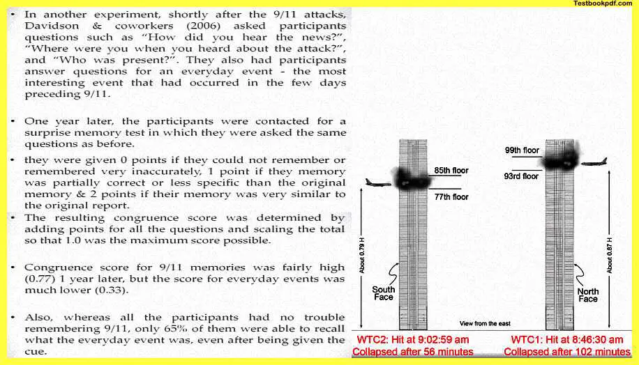 Everyday-Memory-and-Memory-Errors-Pdf