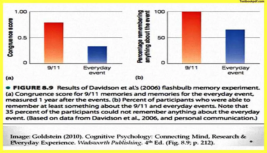 Everyday-Memory-and-Memory-Errors-Pdf