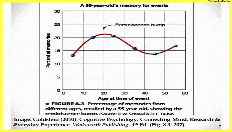 Everyday-Memory-and-Memory-Errors-Pdf