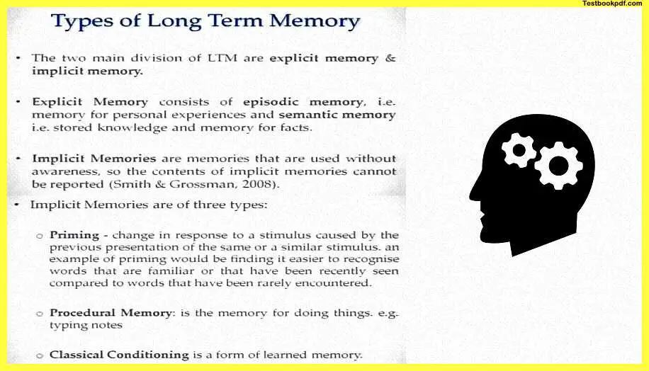 Memory-Psychology-Example