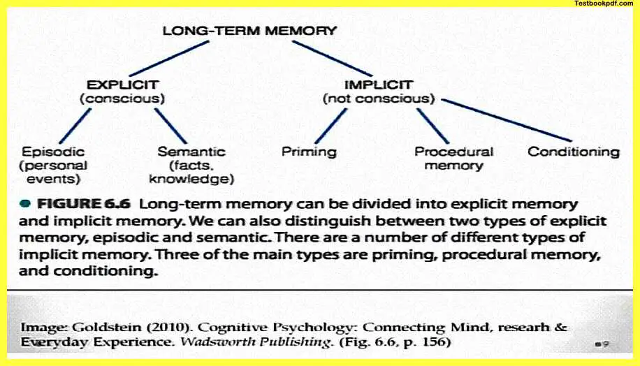 Memory-Psychology-Example