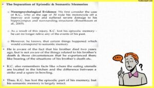 Memory-Psychology-Example