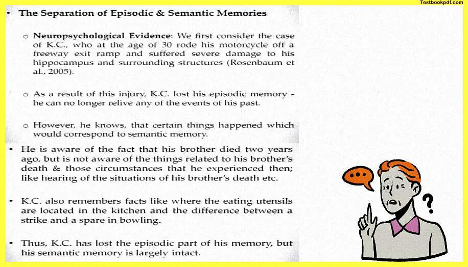 Memory-Psychology-Example