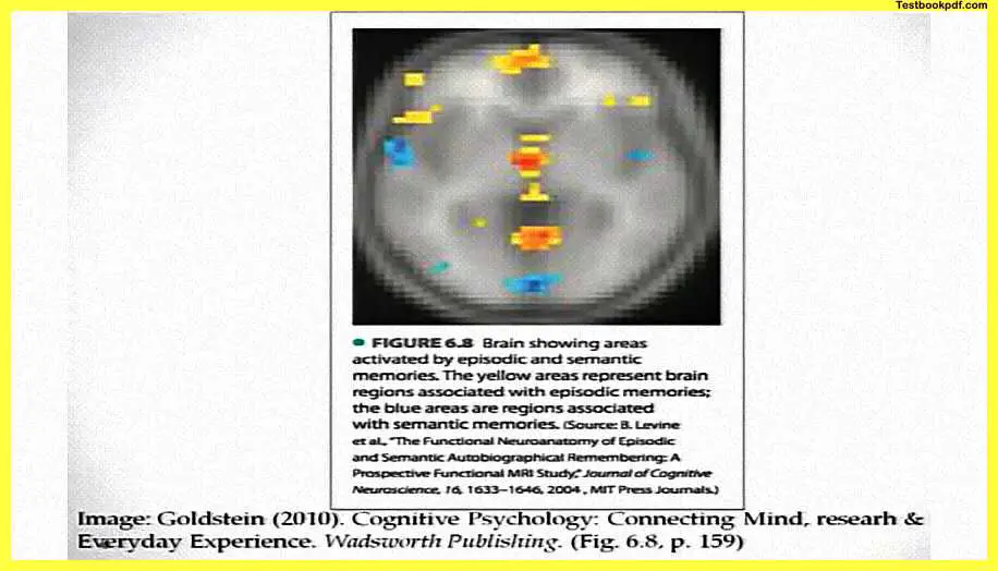 Memory-Psychology-Example