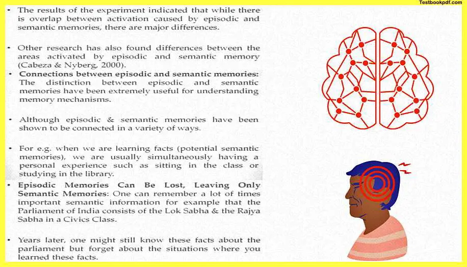 Memory-Psychology-Example