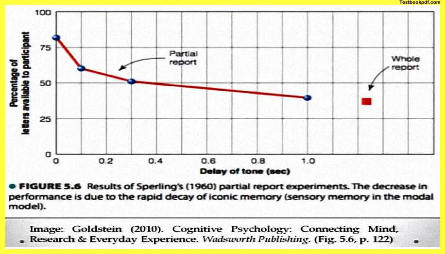 Memory-Psychology-PDF