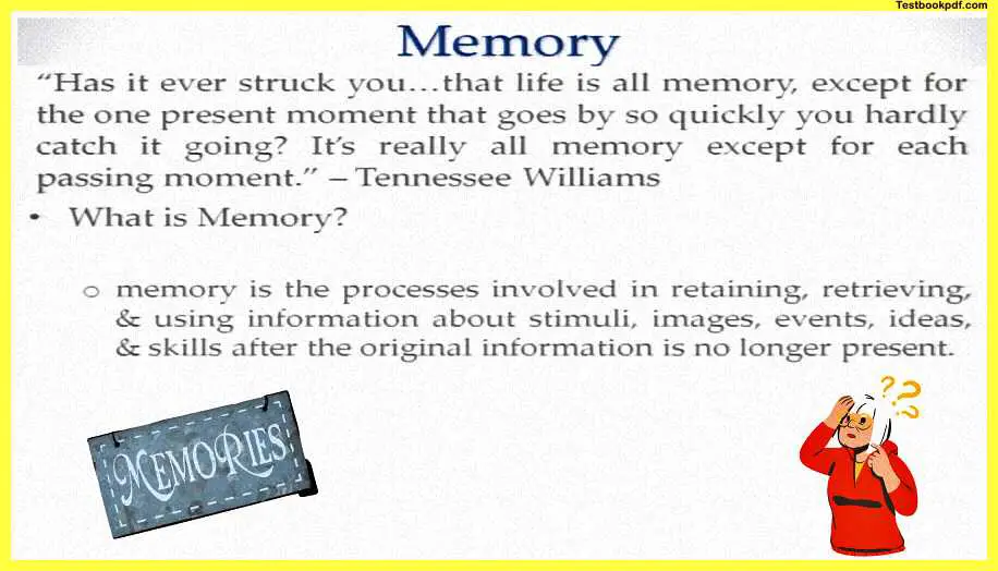 Memory-Psychology-PDF