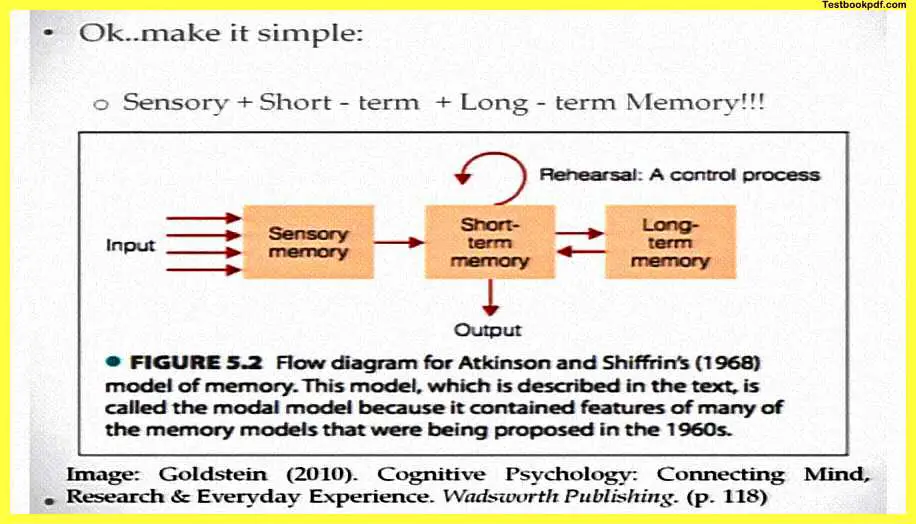 Memory-Psychology-PDF