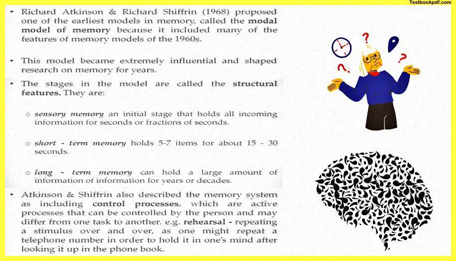 Memory-Psychology-PDF