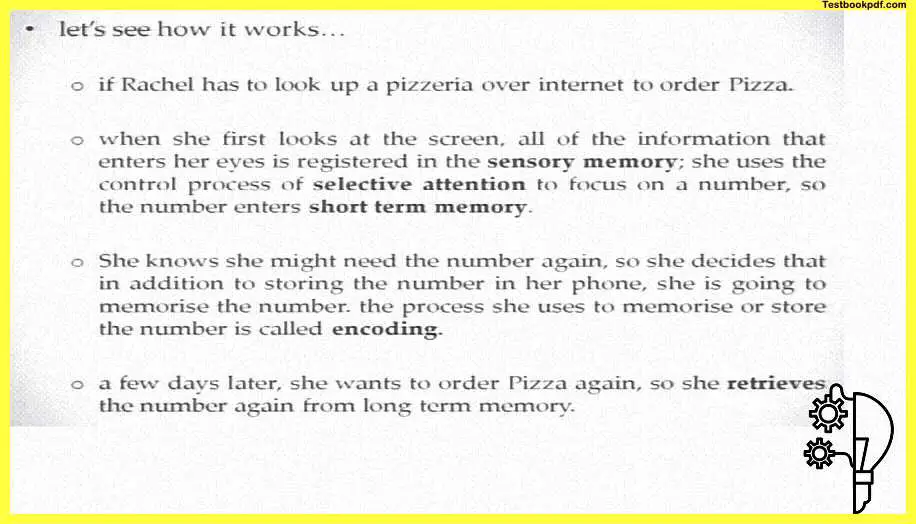 Memory-Psychology-PDF