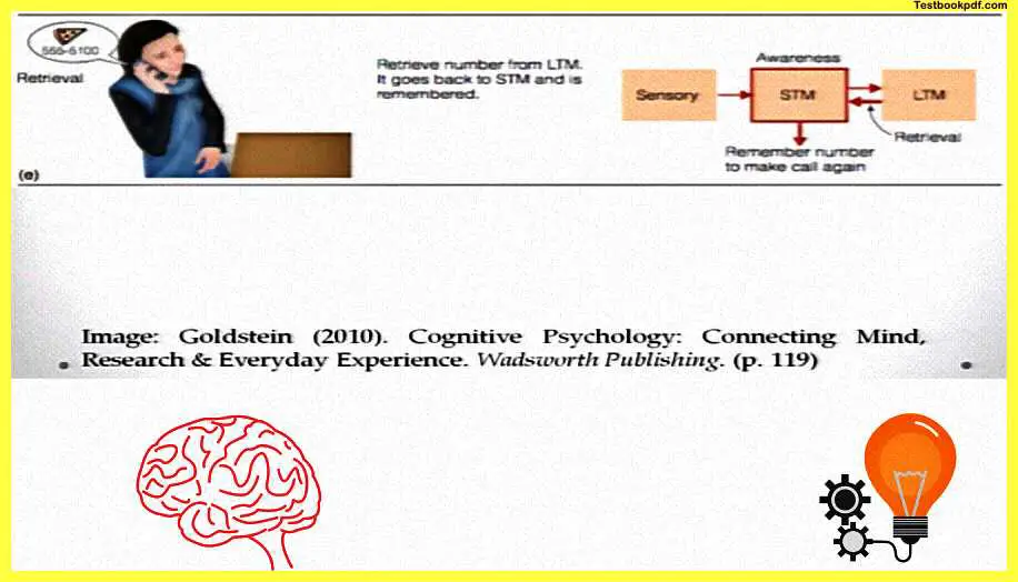 Memory-Psychology-PDF