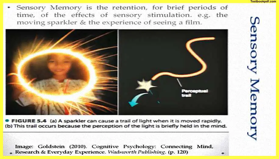 Memory-Psychology-PDF