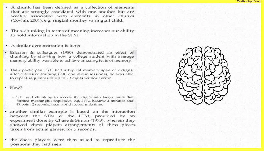 Memory-in-Psychology