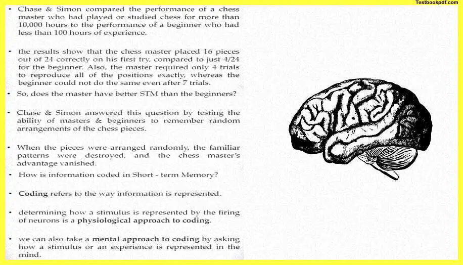 Memory-in-Psychology