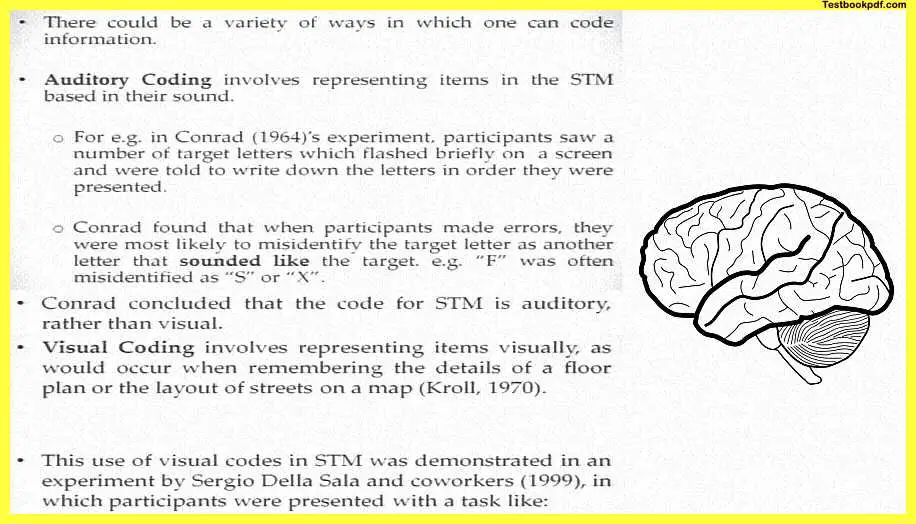 Memory-in-Psychology