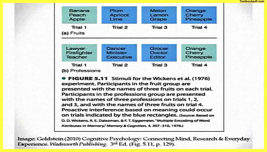 Memory-in-Psychology