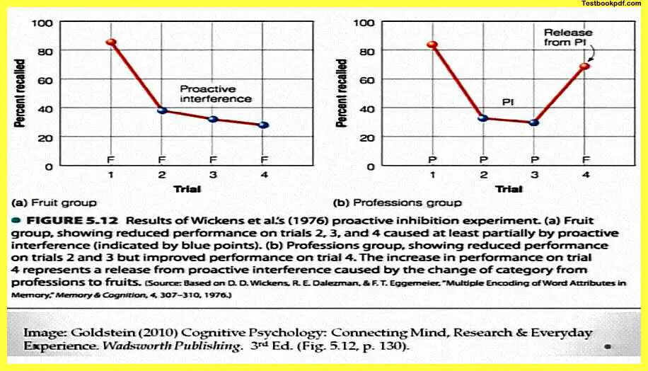 Memory-in-Psychology