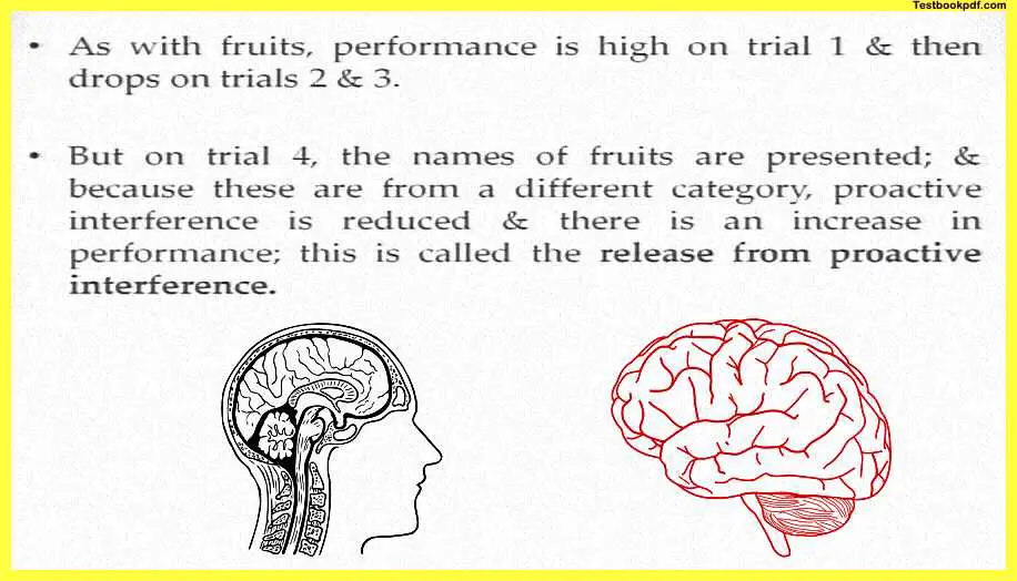 Memory-in-Psychology