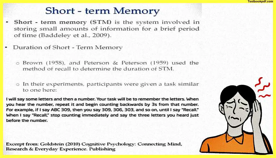 Memory-in-Psychology