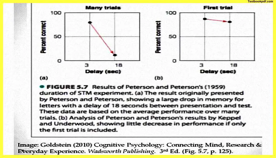 Memory-in-Psychology