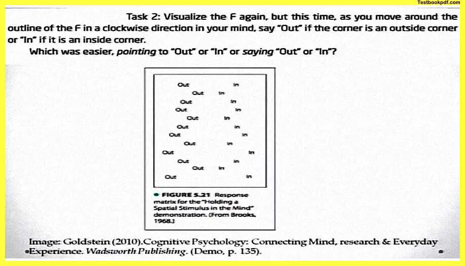 Memory-in-Psychology-Pdf