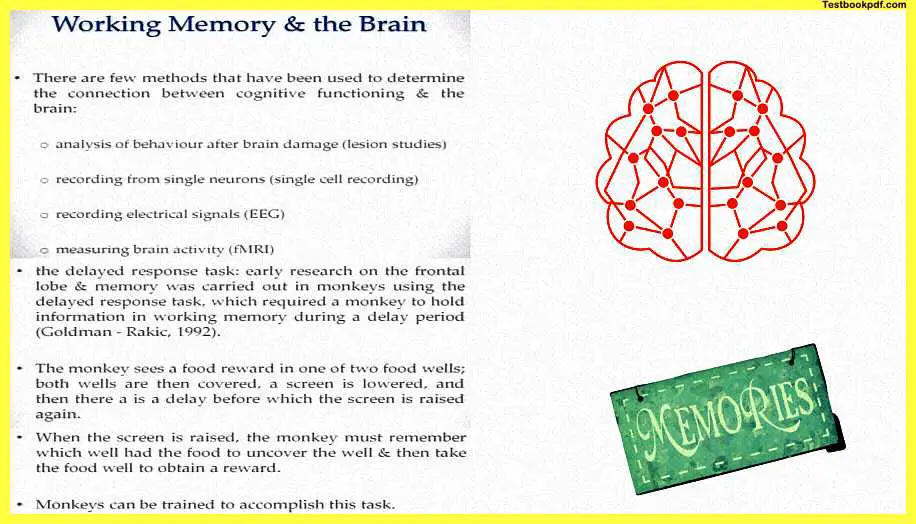 Memory-in-Psychology-Pdf