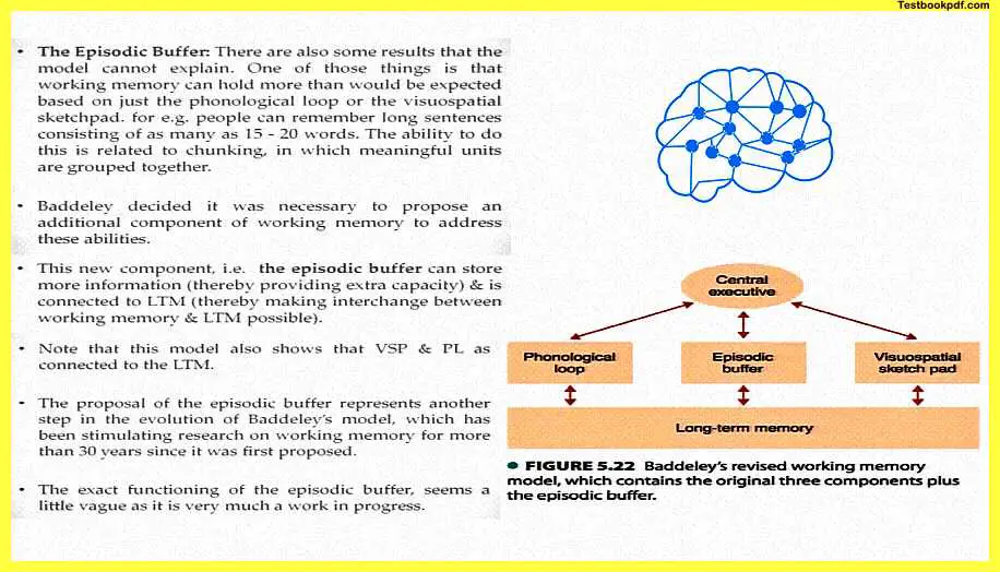 Memory-in-Psychology-Pdf