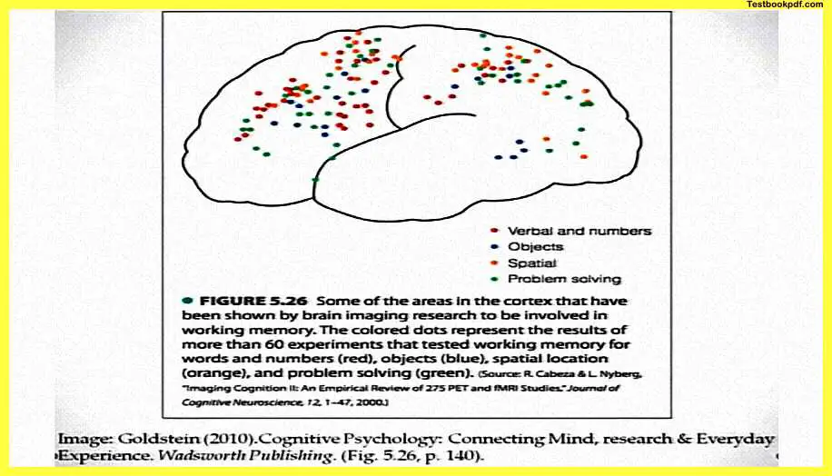 Memory-in-Psychology-Pdf